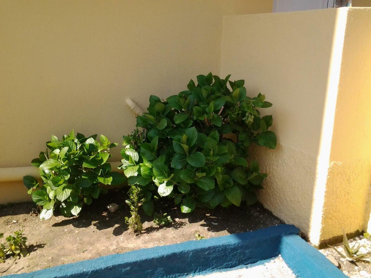 Harmony House Apartment Agia Paraskevi  Exterior photo